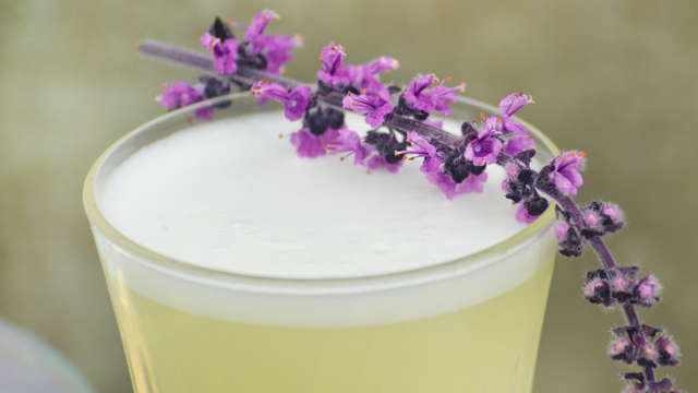 Zallotti Concombre Gimlet