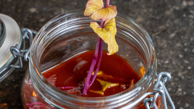 Kimchi Sweet Peeper