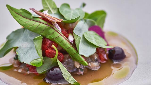 Mackerel, sorrel, tomato water with verbena, Jostaberry, Syrha Leaves, Yka Leaves