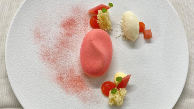 Vanilla mousse, rhubarb gel, white chocolate - vanilla ice cream