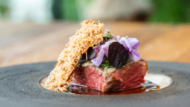 Smoked long tenderloin, Shiso Purple, duck liver and mole gravy