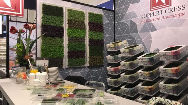 Koppert Cress presentó su nueva gama de envases