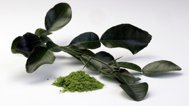 Kaffir Lime Leaves Powder
