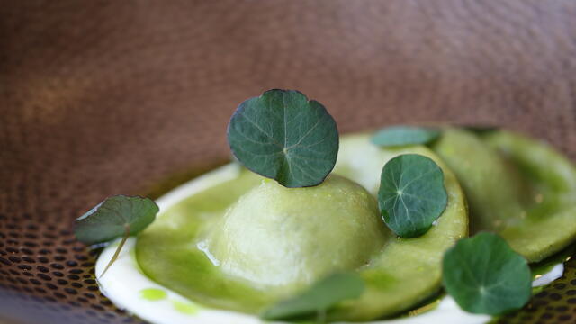 Zorri Cress ravioli or tortelloni