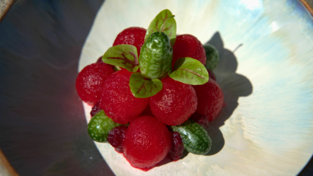 Watermelon, Pepquiño, Vene Cress