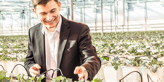 Koppert Cress im Rolling Pin - Jäger der verlorenen grünen Schätze