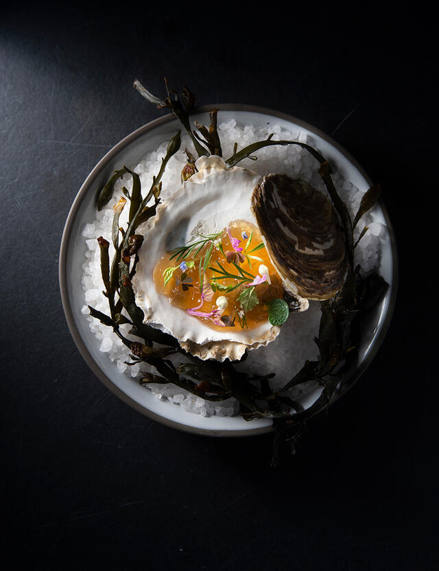 Oyster, Paztizz Tops, Lupine Cress, Melissa Cress, Sweet Peeper