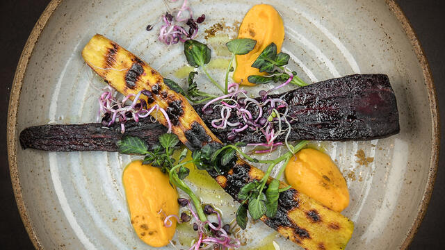 Roasted winter carrot with cumin, radish sprouts and Hippo Tops