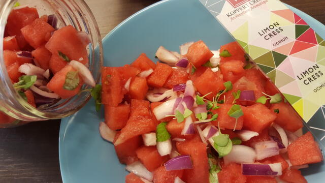 Delicious Watermelon Salsa with Limon Cress