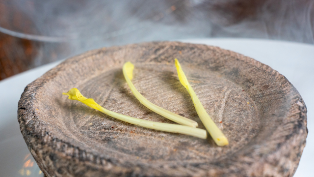 Gerookte Morar Shoots