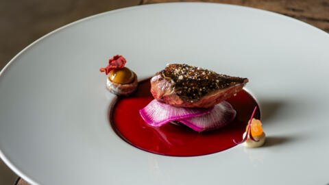 Pigeon breast Radicchio - risotto, anchovies, daikon and beetroot ...