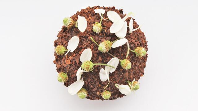Coffee and dark chocolate with Dushi Buttons and Jasmine Blossom