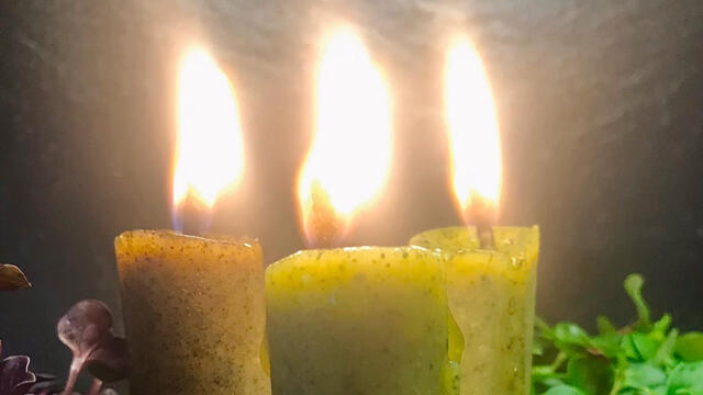 Butter Candles with Koppert Cress