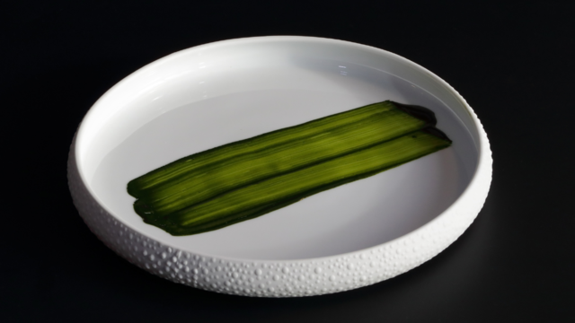 Bechamel Algae Powder Emerald