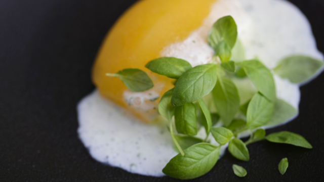 Apple, Yogurt and Limon Cress