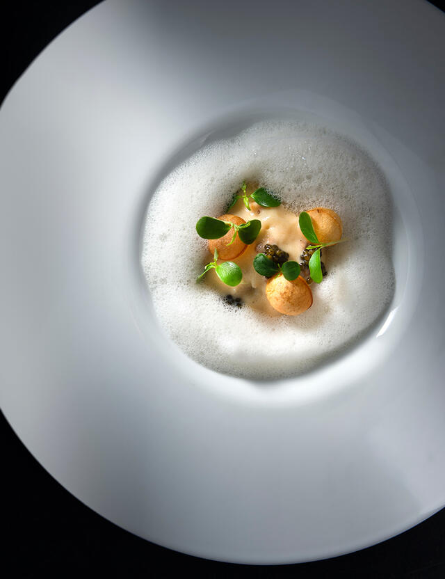 North Sea crab and Tahoon Cress