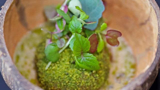 Pickled Chestnut Mushrooms, Cappuccino of Coffee and Morel