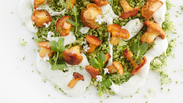 Rauwkosttartaar van broccoli, cantharellen en Affilla Cress