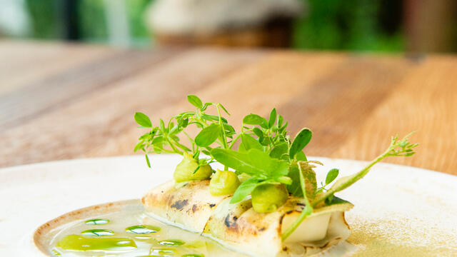 Kohlrabi package with goat cheese, soy bean cream and spring onion