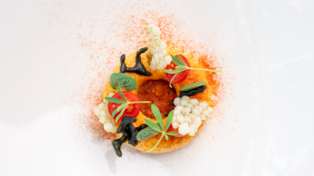 Aardpeer tartaar met limoendressing, zoetzure komkommer, mayonaise van Shiso Green, radijzen, gepofte quinoa en Zorri Cress