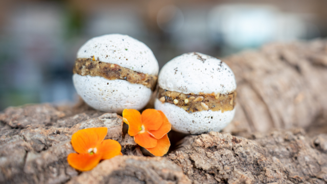 Vanilla Chick Pea Meringue