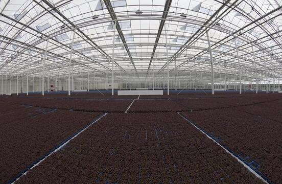 Heating & Cooling at Koppert Cress