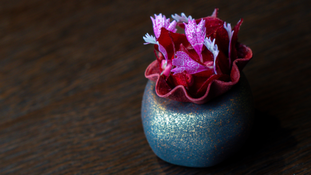 Tartlet with Smoked Salmon, Beetroot and Zorri Cress