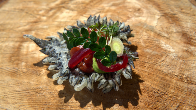 Shiso Sashimi Wassermelone