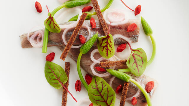 Herring with red veined sorrel, sour shallot, goji berry and pumpernickel bread