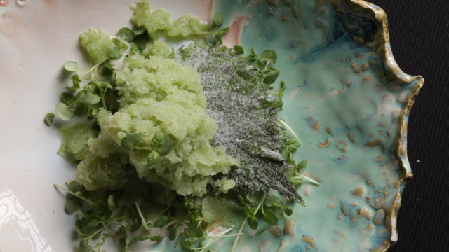 Granita De Lichi y Shiso Green