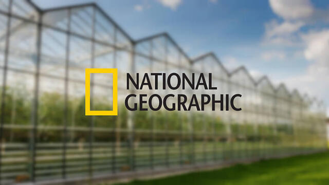 National Geographic komt naar Koppert Cress