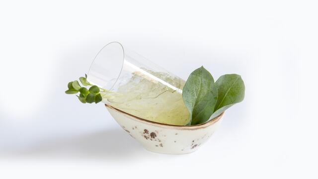 Liquid Sushi
