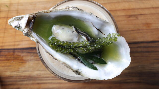 Gestoomde oesters op zeewier met ziltige koffiecocktail