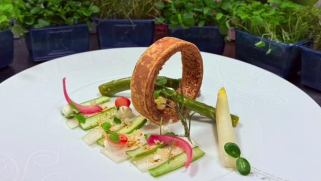 Carpaccio of green and white asparagus